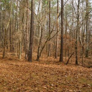 6 -foxlair rd, lot 16