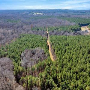 16-DJI_20251124121913_0848_D