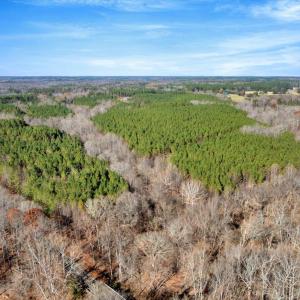 02-DJI_20251124121431_0798_D