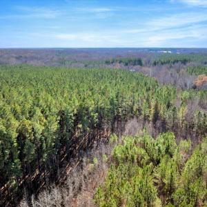 12-DJI_20251124121719_0828_D