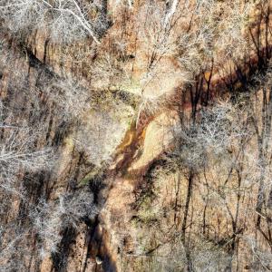 19-DJI_20251124122236_0863_D