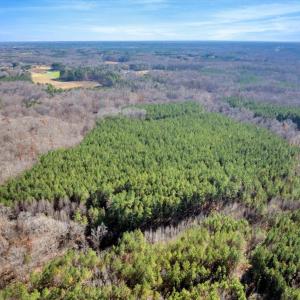 10-DJI_20251124121651_0818_D