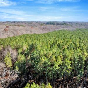 11-DJI_20251124121714_0823_D