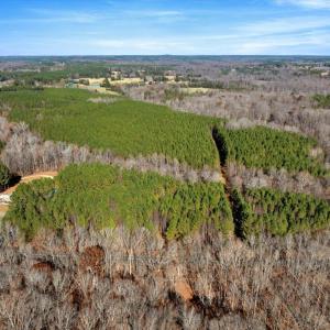 08-DJI_20251124121516_0808_D