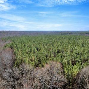 13-DJI_20251124121747_0833_D