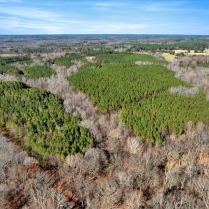 07-DJI_20251124121448_0803_D