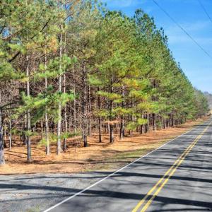 03-DJI_20251124121119_0778_D