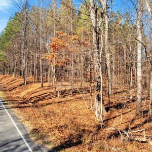 06-DJI_20251124121308_0793_D