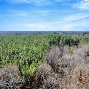 14-DJI_20251124121753_0838_D