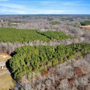 09-DJI_20251124121536_0813_D