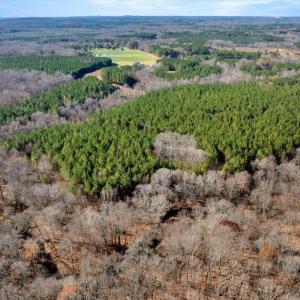 18-DJI_20251124122127_0858_D