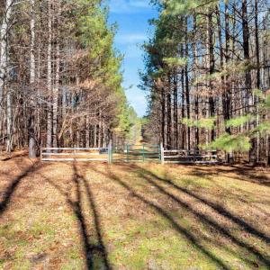 05-DJI_20251124121236_0788_D