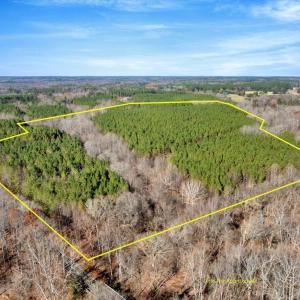 01-DJI_20251124121431_0798_D with lines