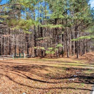 04-DJI_20251124121220_0783_D