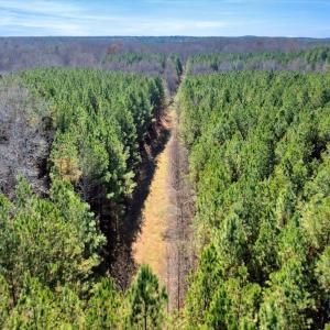 17-DJI_20251124122008_0853_D