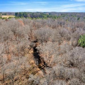 20-DJI_20251124122257_0868_D