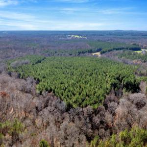 15-DJI_20251124121833_0843_D