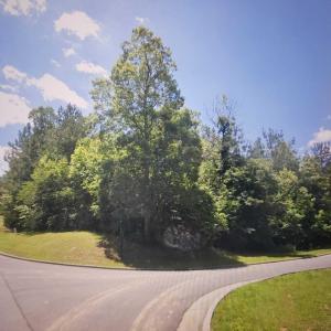 WhatsApp Image 2025-11-30 at 5.17.31 PM