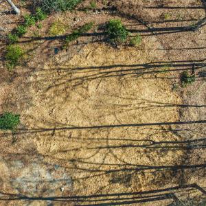 10-web-or-mls-untitled-14