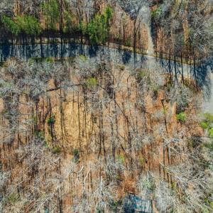 11-web-or-mls-untitled-8