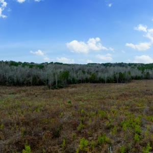 Parcel ID 07E07015 MLS-34