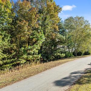 2-web-or-mls-DJI_0091