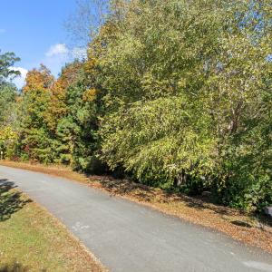 3-web-or-mls-DJI_0092