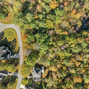 4-web-or-mls-DJI_0093