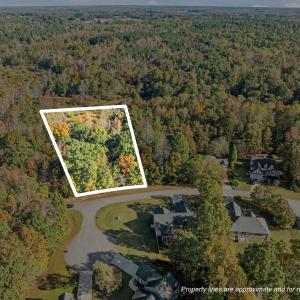 1-web-or-mls-DJI_0095_1