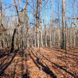 PXL_20251203_165026650~2