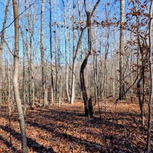 PXL_20251203_165050563~2