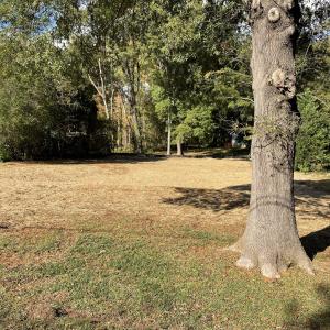 Front yard right view