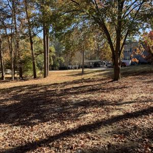 133 Green Back view 1