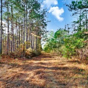 14-2310 Devils Racetrack Rd-14