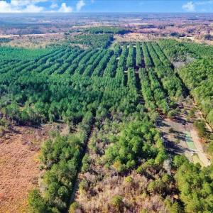 22-2310 Devils Racetrack Rd-22