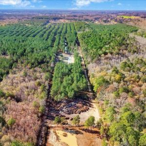 24-2310 Devils Racetrack Rd-24