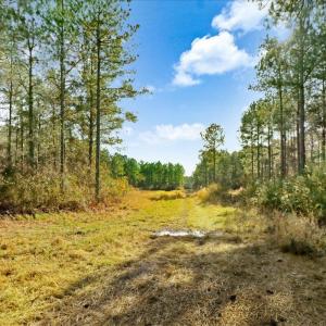 13-2310 Devils Racetrack Rd-13