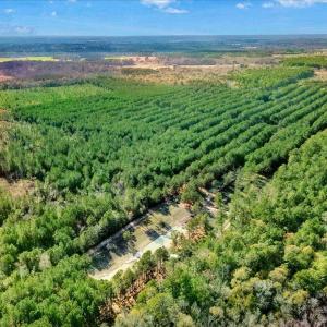 20-2310 Devils Racetrack Rd-20