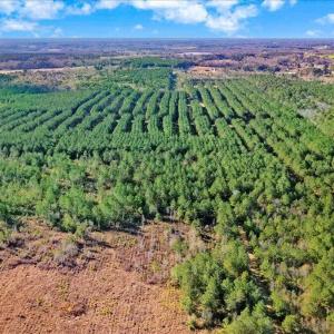 21-2310 Devils Racetrack Rd-21