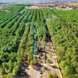 23-2310 Devils Racetrack Rd-23