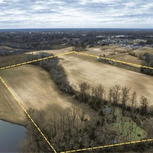 Untitled (1920 x 1080 px) (1)