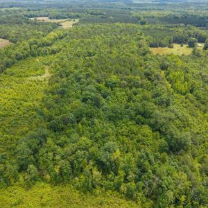 4-web-or-mls-DJI_20250530122107_0149_D