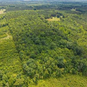 6-web-or-mls-DJI_20250530122142_0151_D