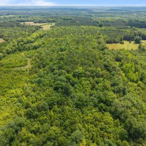 3-web-or-mls-DJI_20250530122054_0148_D