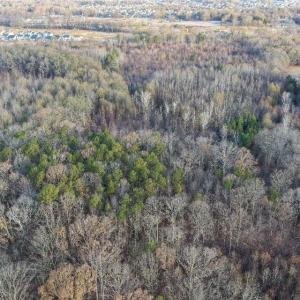 CC22800_Aerial_Pic_01