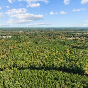 2-web-or-mls-DJI_0537