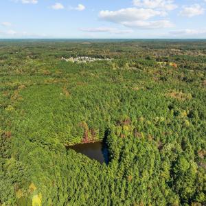 10-web-or-mls-DJI_0551