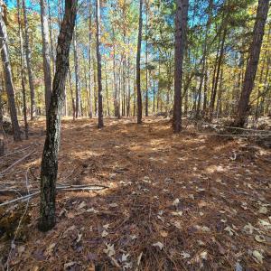 Lot 2 - Buildsite Trail