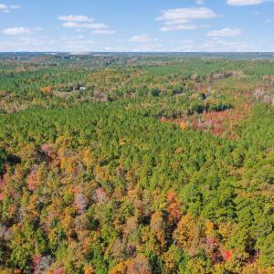 Lot 2 _ Facing West 1