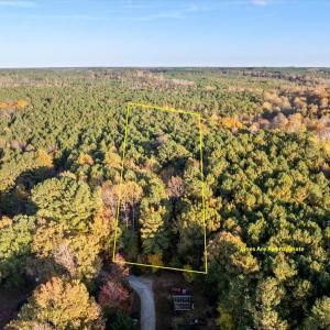 01-DJI_20241031124644_0363_D lines